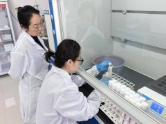 以国度级验证为新起点 建牢区域粮食质量平安手